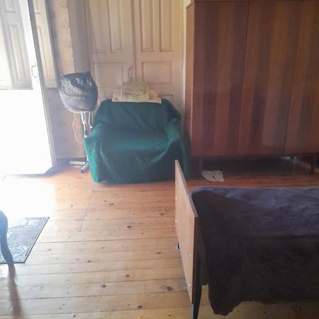 Levani'S Guesthouse Zugdidi Dış mekan fotoğraf
